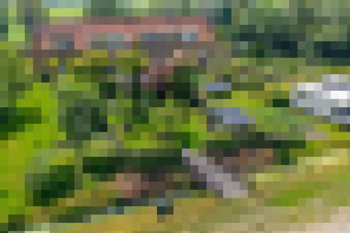 Kamperzandweg 16 C Ens thumbnail 36
