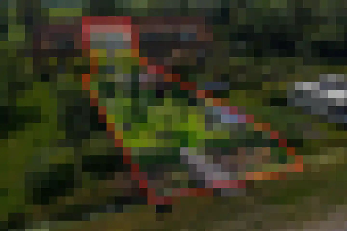 Kamperzandweg 16 C Ens thumbnail 39