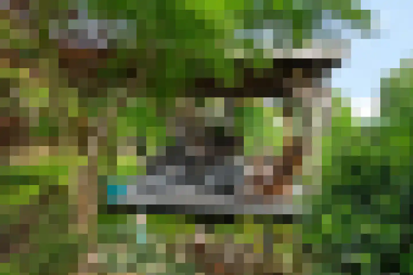Kamperzandweg 16 C Ens thumbnail 7