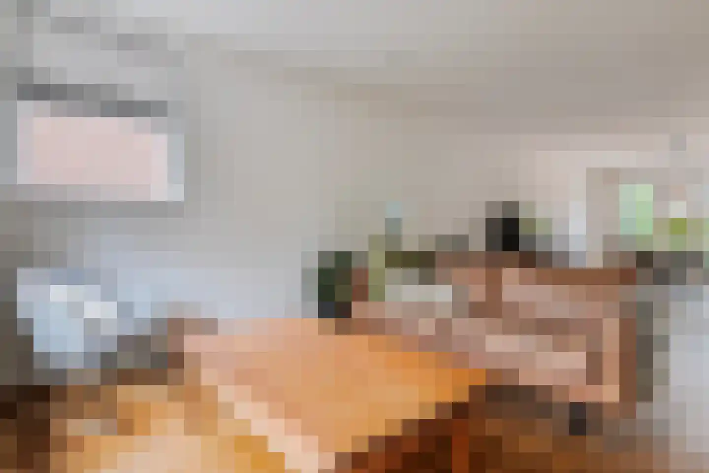 Kamperzeedijk 22 Genemuiden thumbnail 11