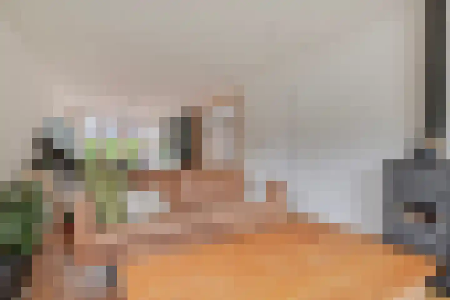 Kamperzeedijk 22 Genemuiden thumbnail 12
