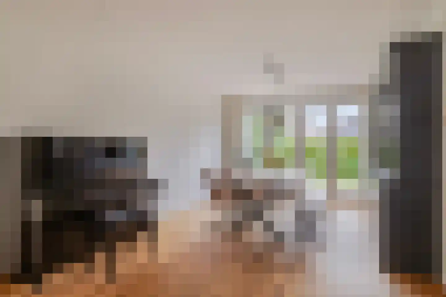 Kamperzeedijk 22 Genemuiden thumbnail 13