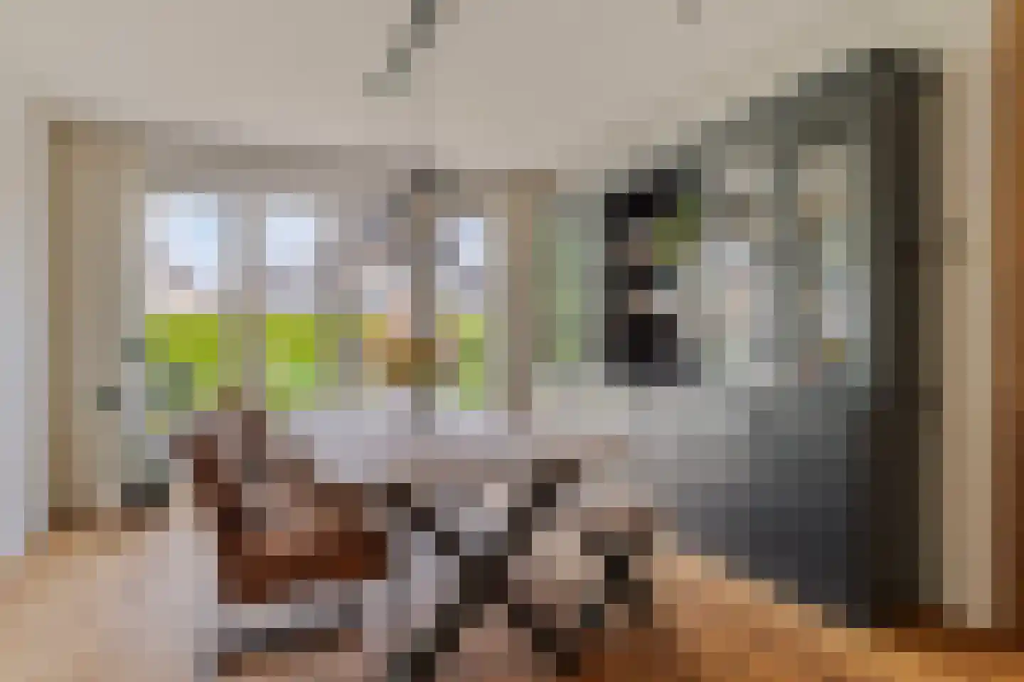 Kamperzeedijk 22 Genemuiden thumbnail 14