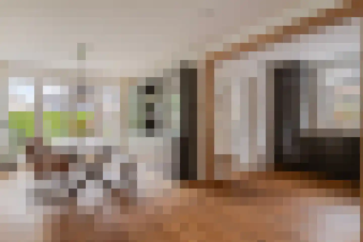 Kamperzeedijk 22 Genemuiden thumbnail 15