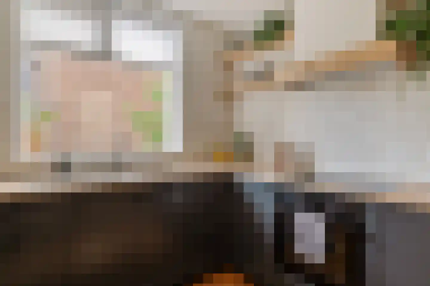 Kamperzeedijk 22 Genemuiden thumbnail 16