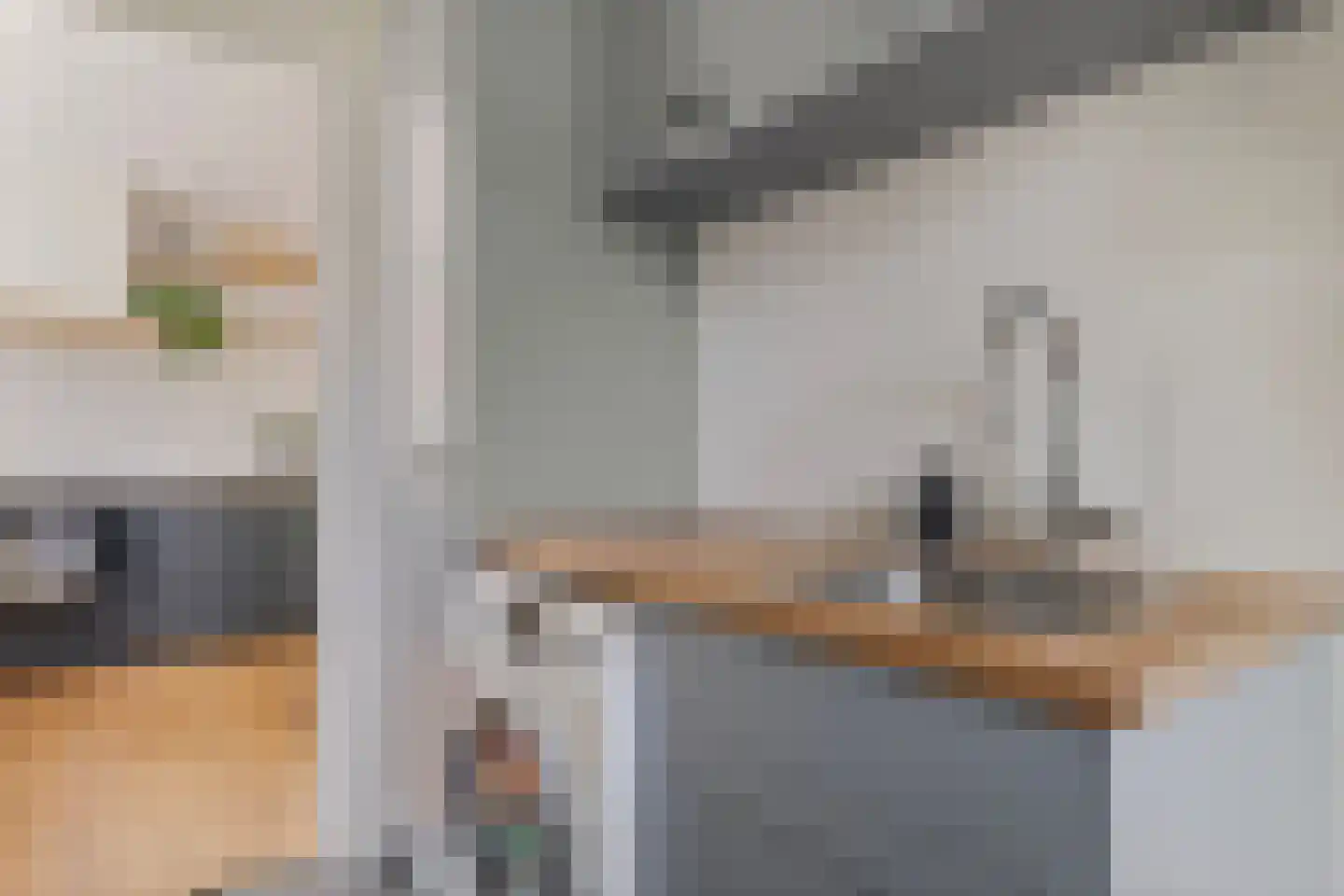 Kamperzeedijk 22 Genemuiden thumbnail 18