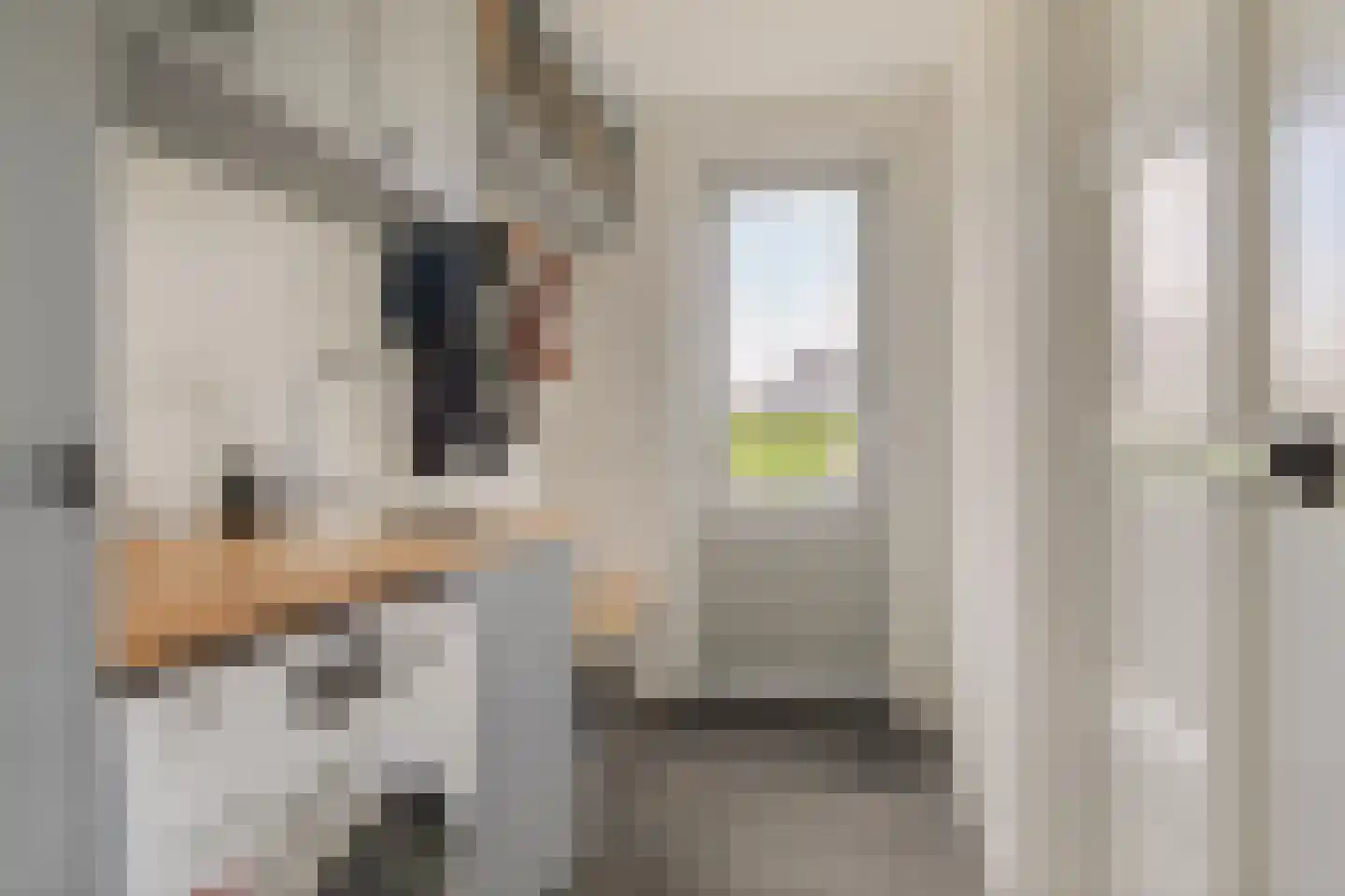 Kamperzeedijk 22 Genemuiden thumbnail 19