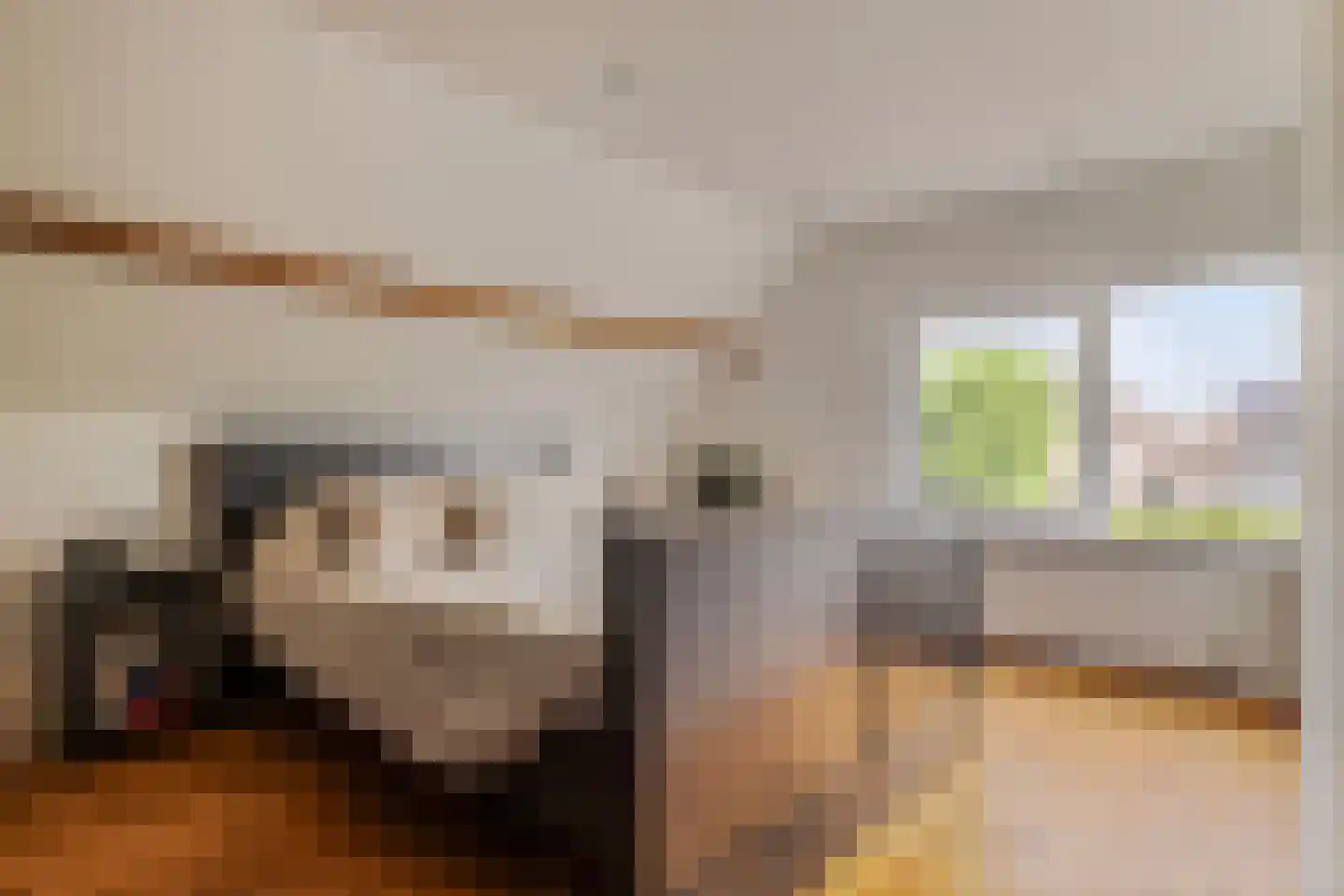Kamperzeedijk 22 Genemuiden thumbnail 34