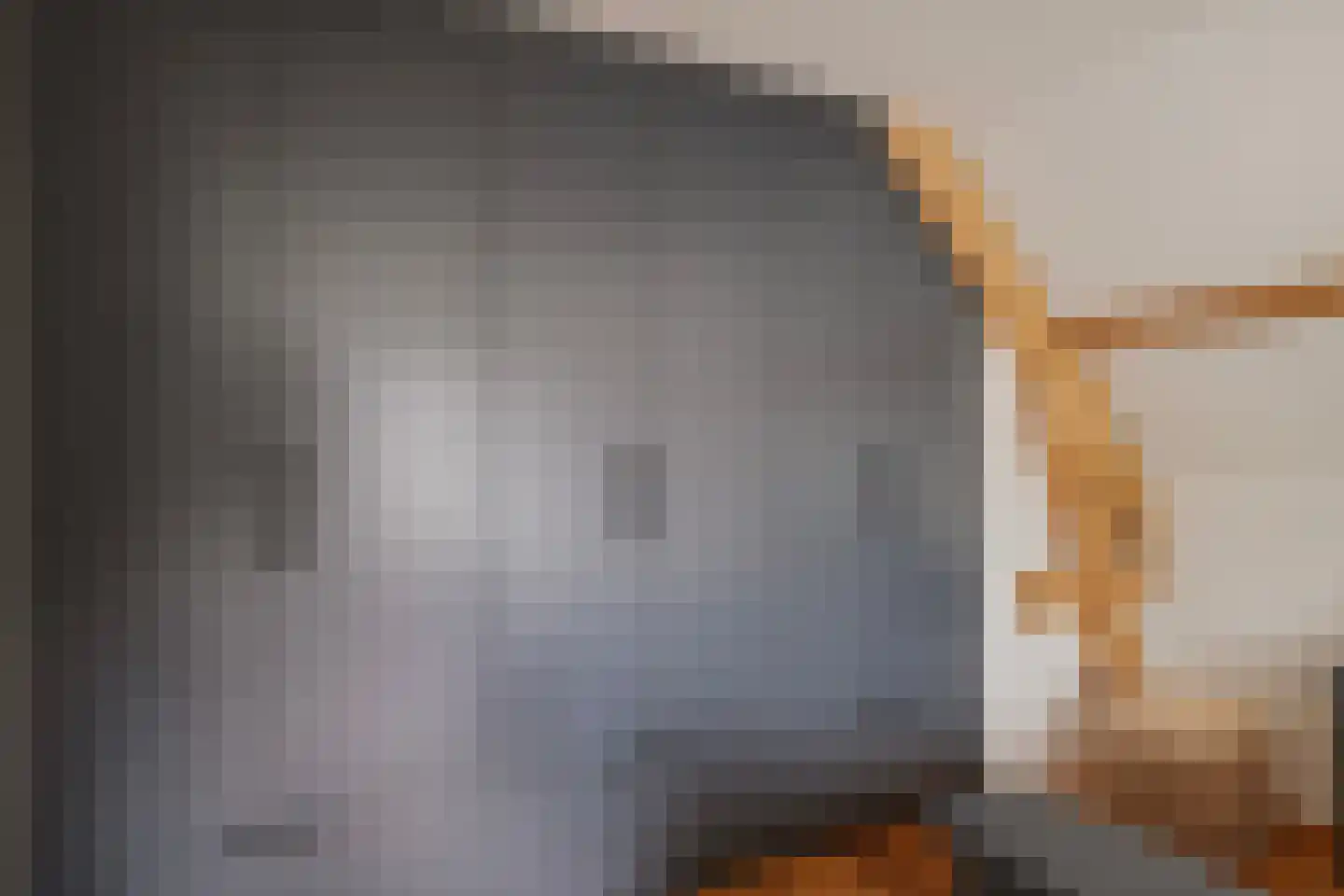Kamperzeedijk 22 Genemuiden thumbnail 35