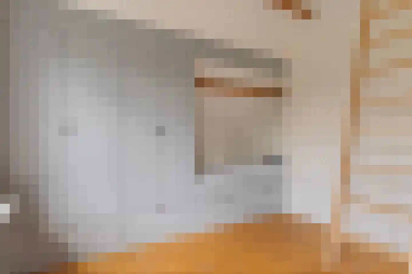 Kamperzeedijk 22 Genemuiden thumbnail 39