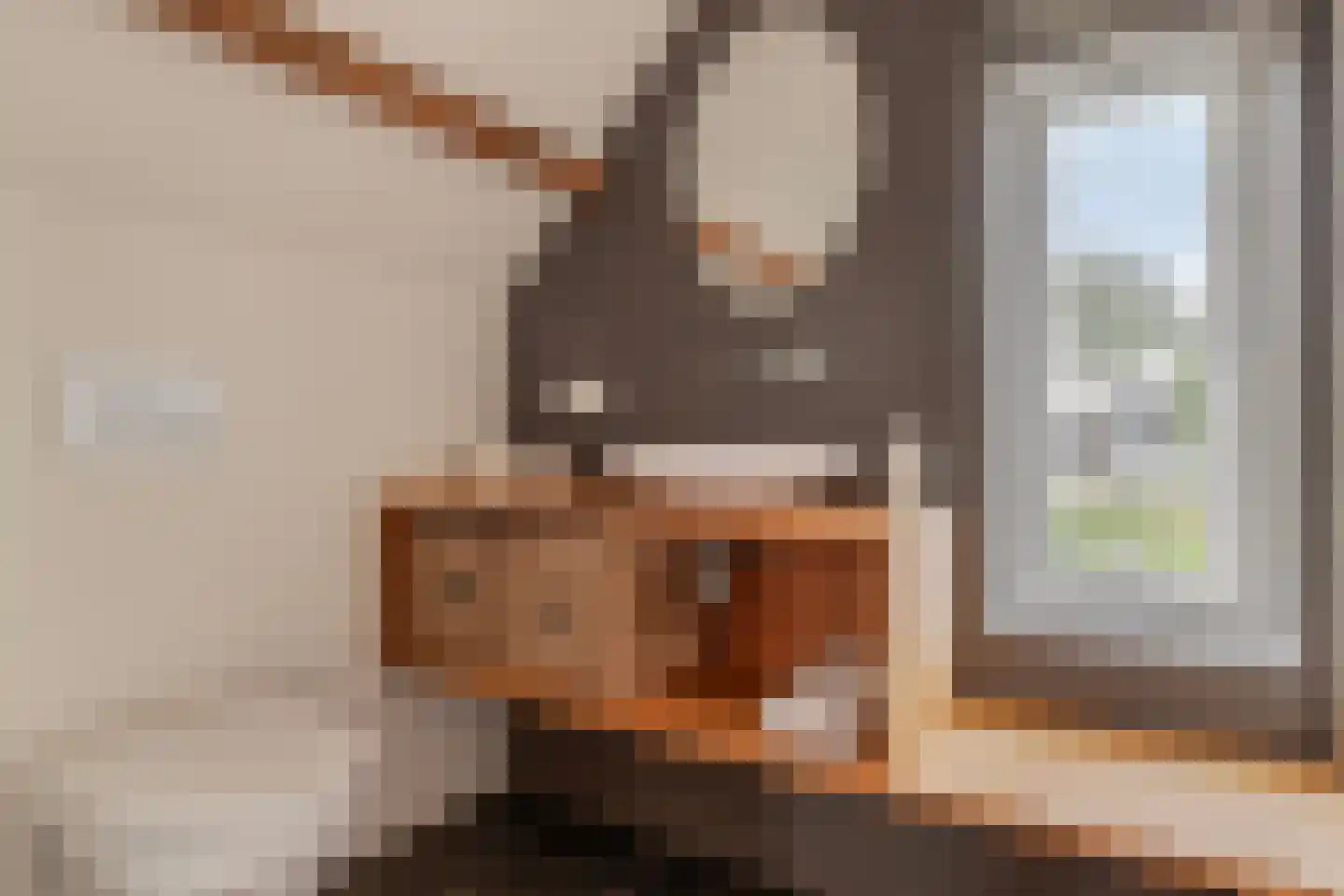 Kamperzeedijk 22 Genemuiden thumbnail 40