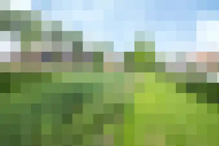 Kamperzeedijk 24 Genemuiden thumbnail 16