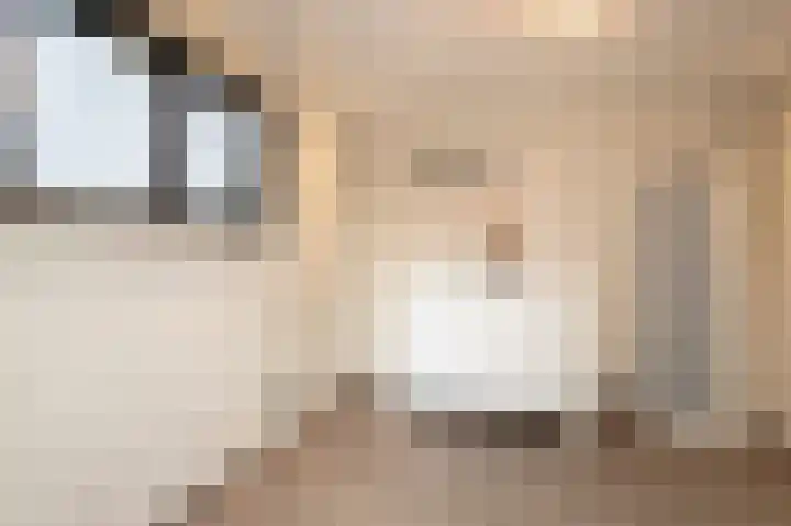 Kamperzeedijk 24 Genemuiden thumbnail 26