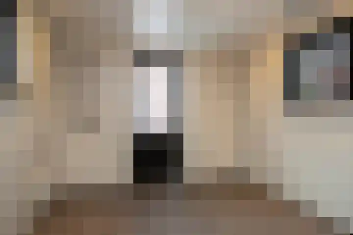 Kamperzeedijk 24 Genemuiden thumbnail 27