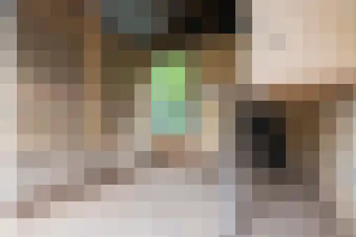 Kamperzeedijk 24 Genemuiden thumbnail 32