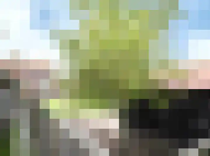 Kamperzeedijk 24 Genemuiden thumbnail 33
