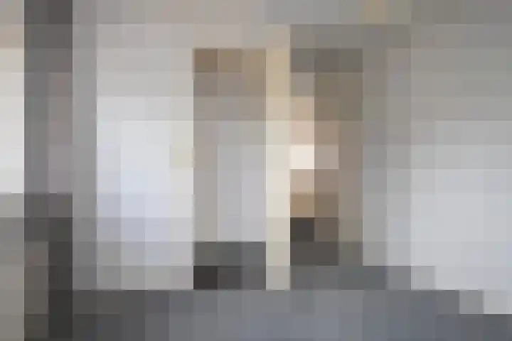 Kamperzeedijk 24 Genemuiden thumbnail 38