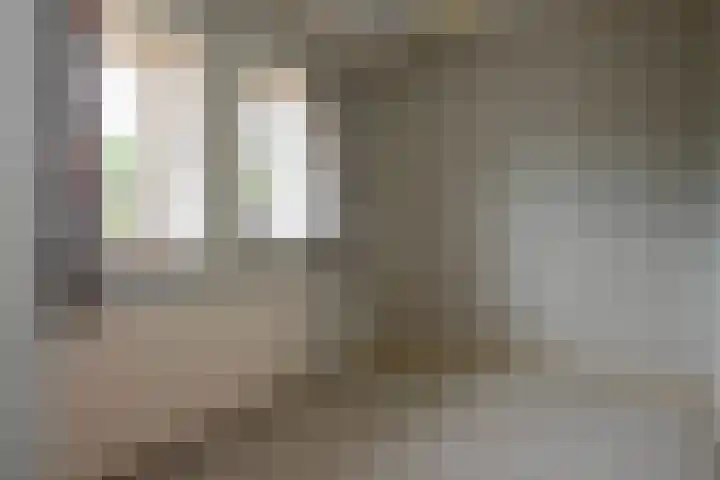 Kamperzeedijk 24 Genemuiden thumbnail 40
