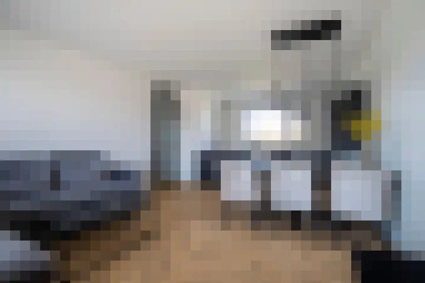 Kamperzeedijk 93 Genemuiden thumbnail 16