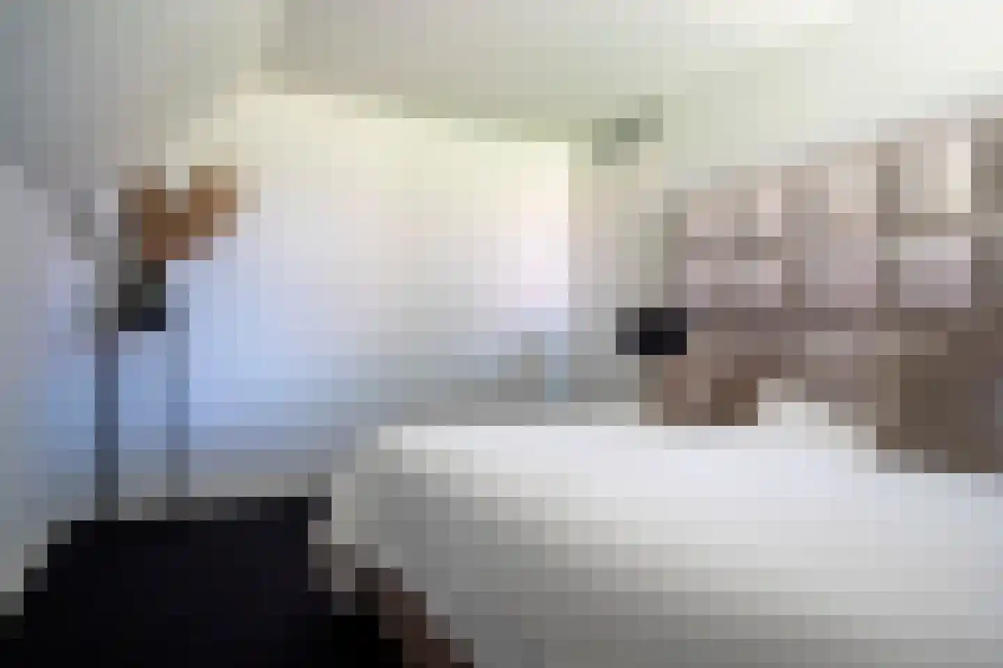 Kamperzeedijk 93 Genemuiden thumbnail 41