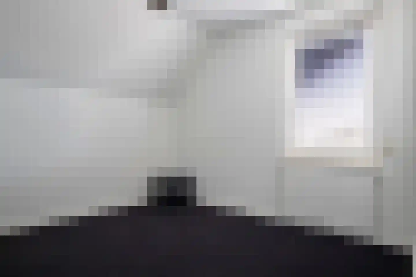 Kamperzeedijk 93 Genemuiden thumbnail 44