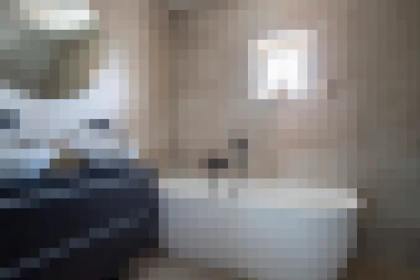 Kamperzeedijk 93 Genemuiden thumbnail 45