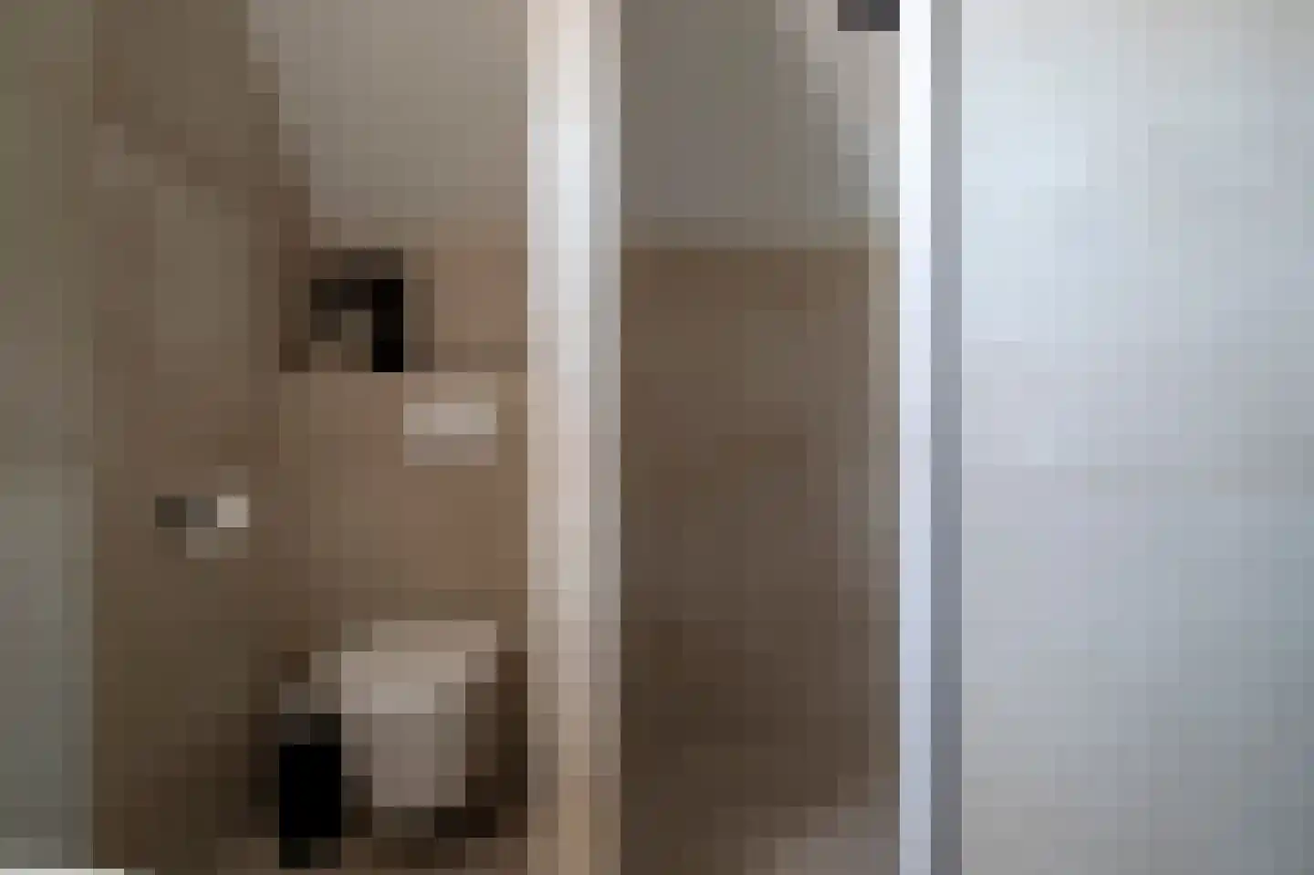 Kamperzeedijk 93 Genemuiden thumbnail 46
