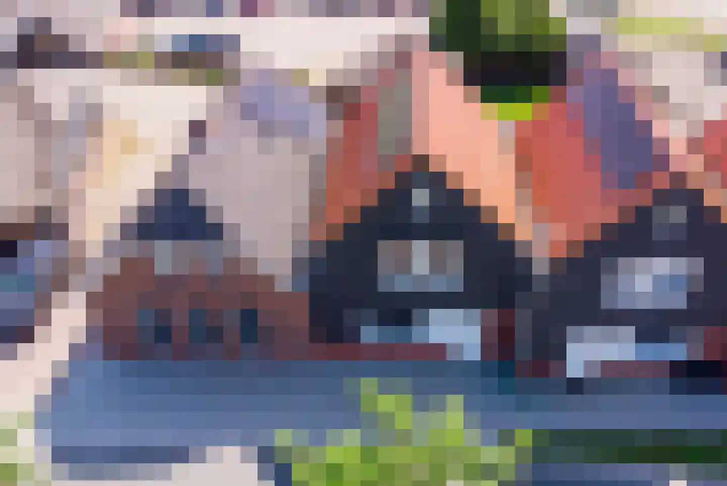 Kamperzeedijk 93 Genemuiden thumbnail 5