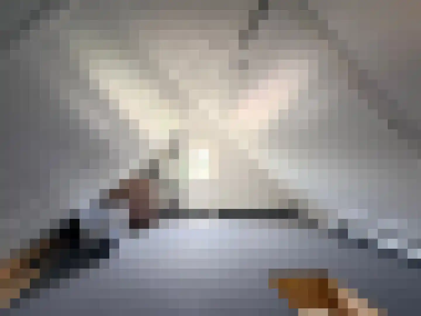 Kamperzeedijk 93 Genemuiden thumbnail 51