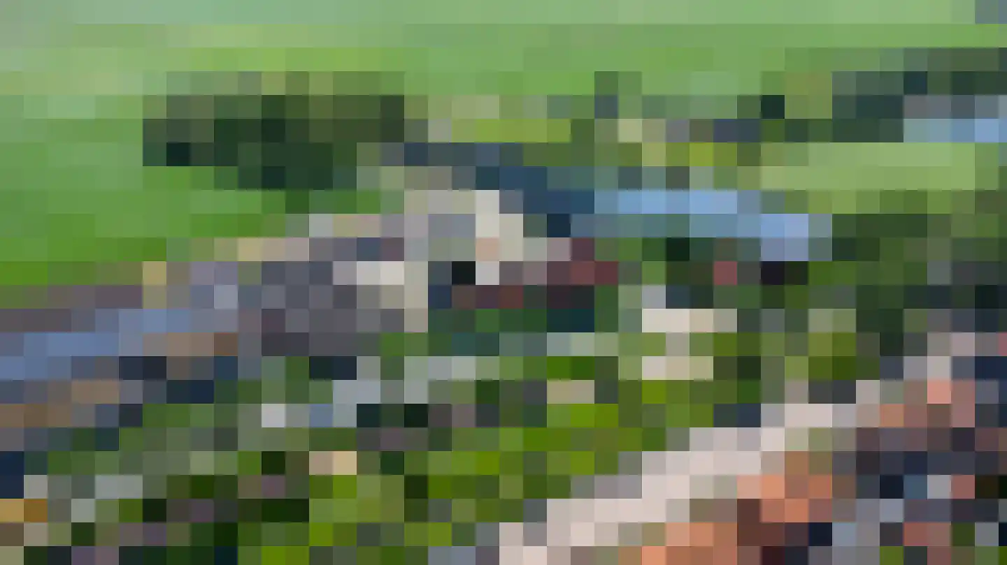Kamperzeedijk 93 Genemuiden thumbnail 7