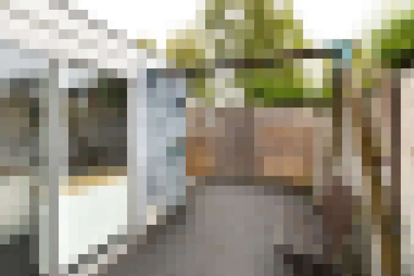 Kamperzijstraat 5 Haarlem thumbnail 10