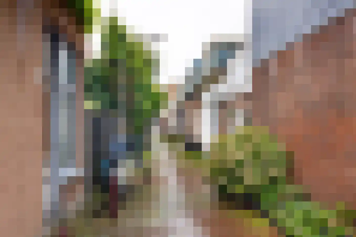 Kamperzijstraat 5 Haarlem thumbnail 22