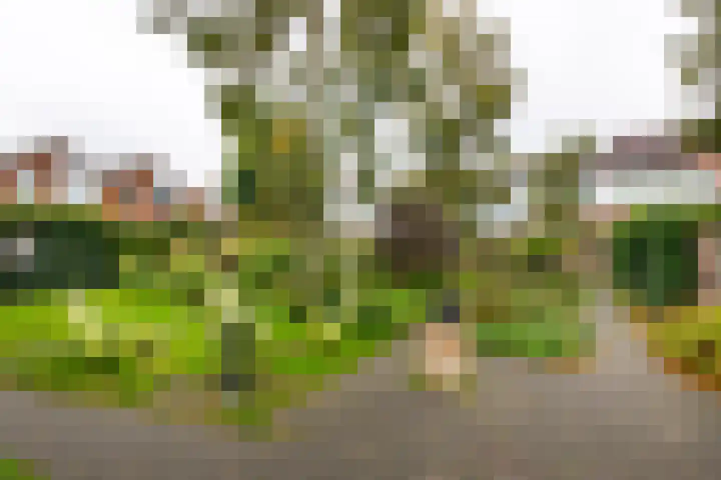 Kamperzijstraat 5 Haarlem thumbnail 23