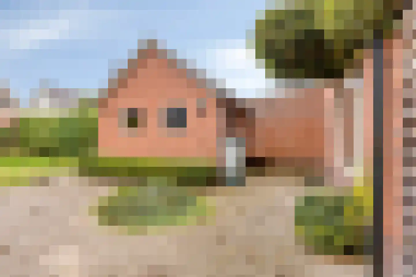 Kampfstraat 30 Lemelerveld thumbnail 20