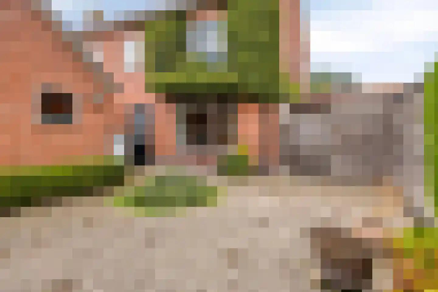 Kampfstraat 30 Lemelerveld thumbnail 22