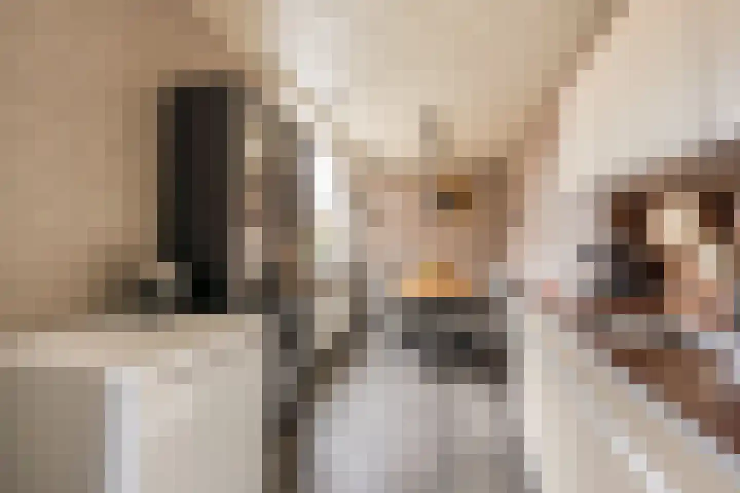Kamphuisstraat 3 Voorthuizen thumbnail 11