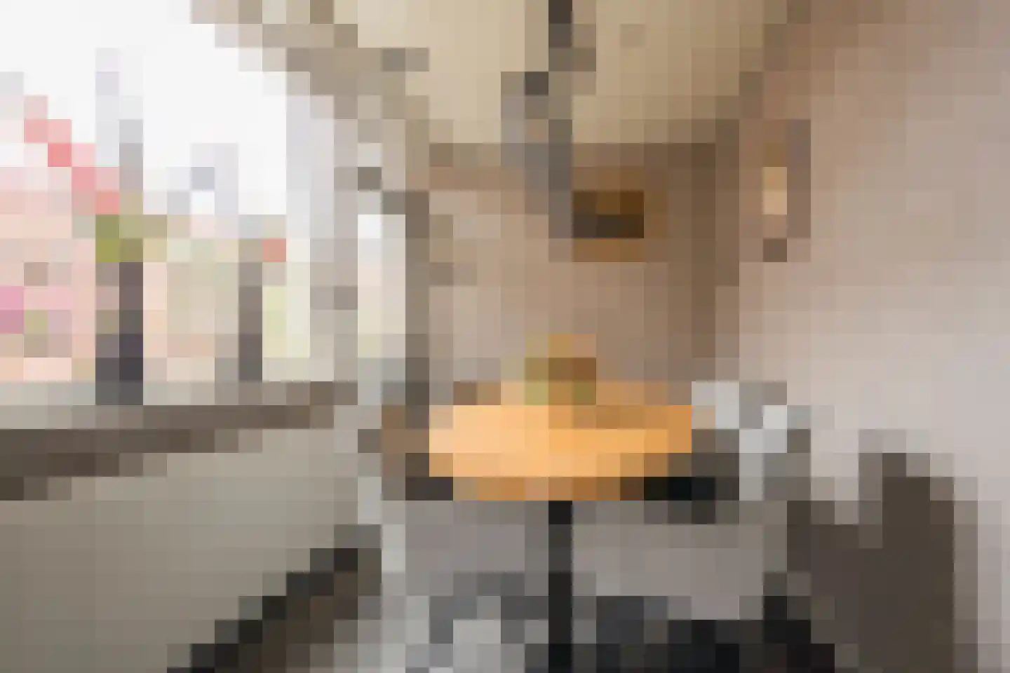 Kamphuisstraat 3 Voorthuizen thumbnail 12