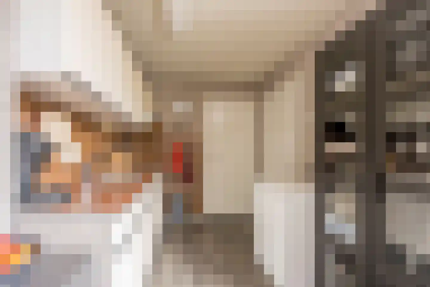 Kamphuisstraat 3 Voorthuizen thumbnail 13