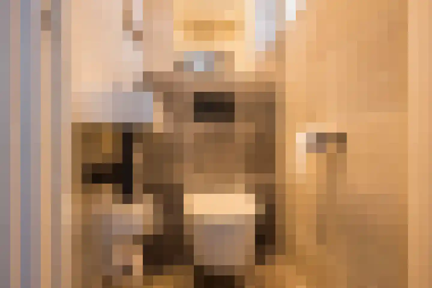 Kamphuisstraat 3 Voorthuizen thumbnail 14