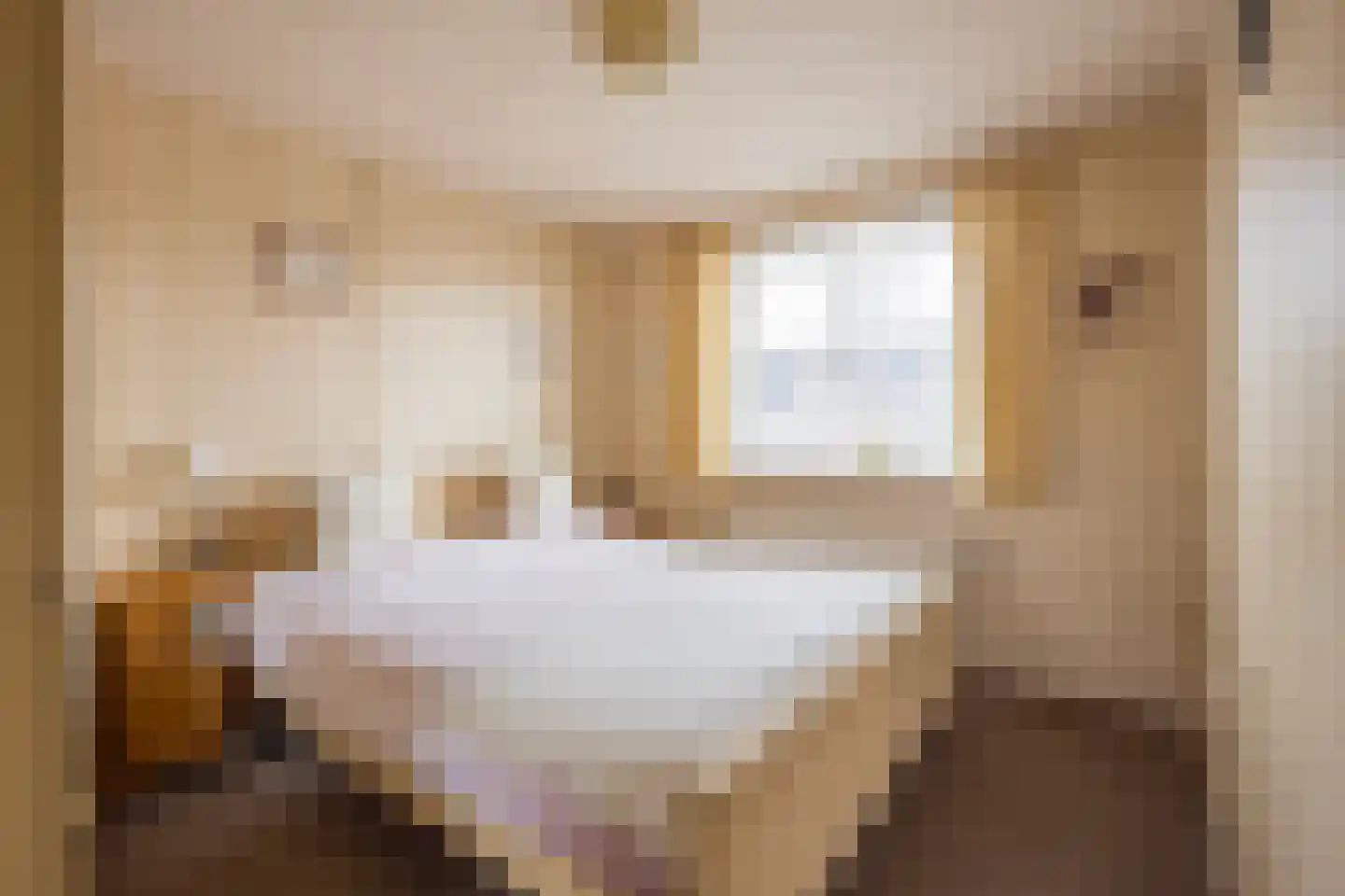 Kamphuisstraat 3 Voorthuizen thumbnail 18