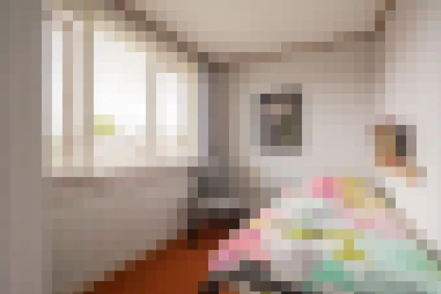 Kamphuisstraat 3 Voorthuizen thumbnail 20