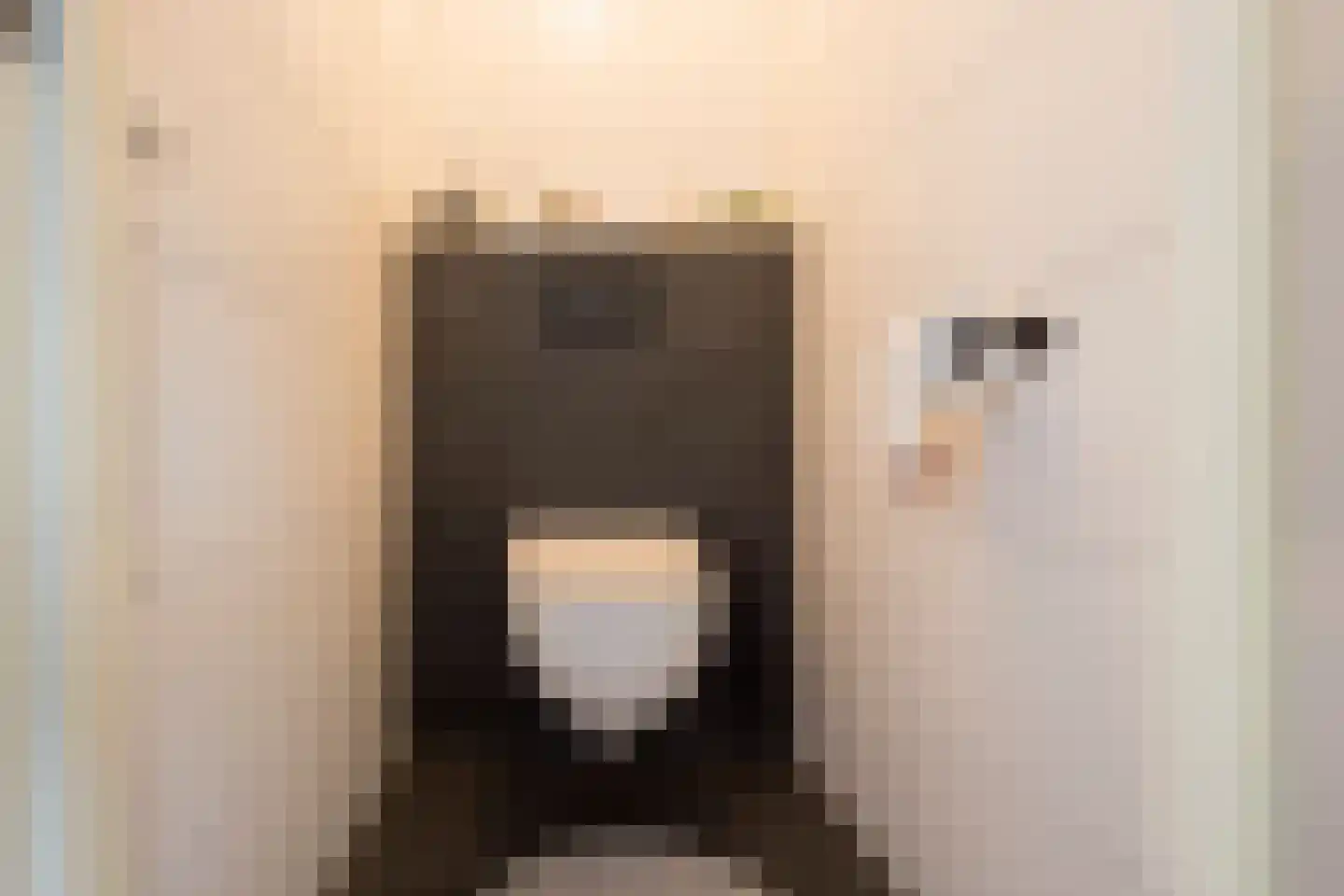 Kamphuisstraat 3 Voorthuizen thumbnail 22
