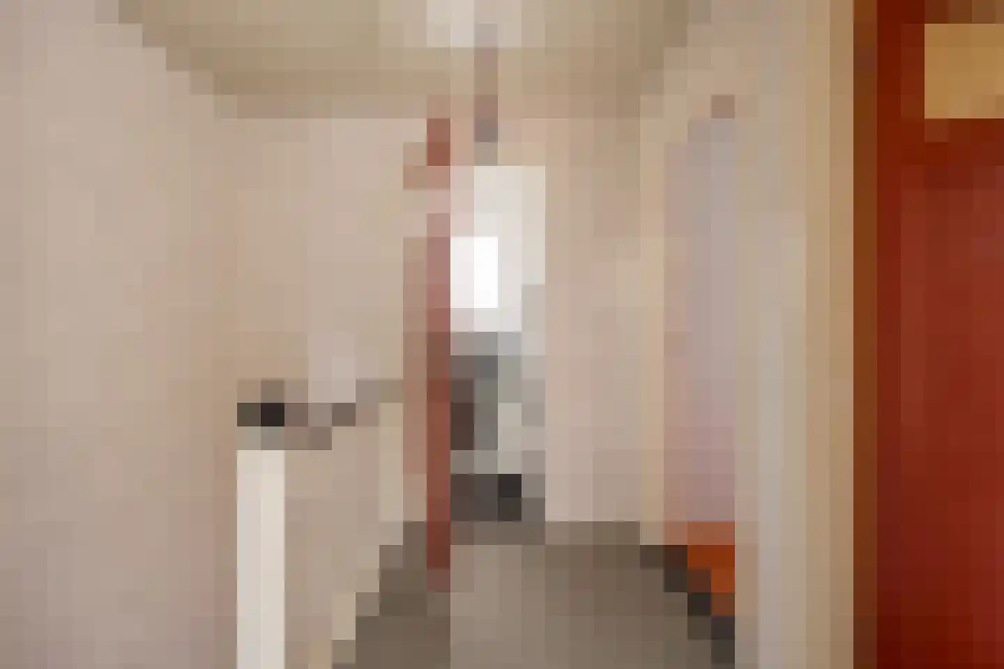 Kamphuisstraat 3 Voorthuizen thumbnail 23