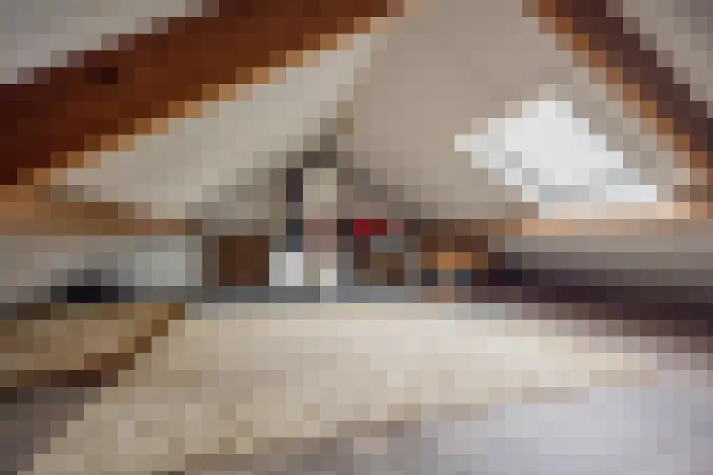 Kamphuisstraat 3 Voorthuizen thumbnail 26