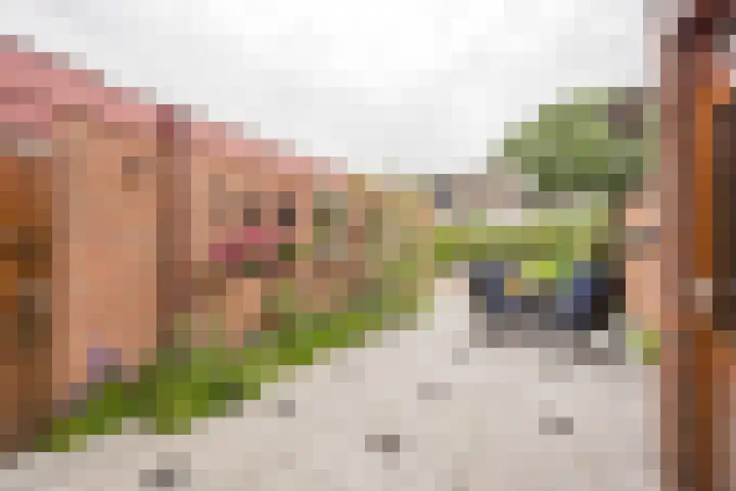 Kamphuisstraat 3 Voorthuizen thumbnail 27