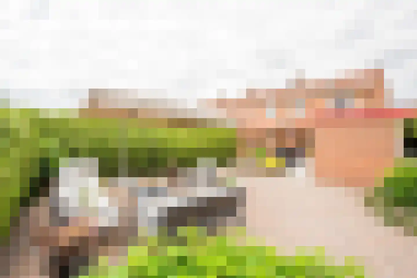 Kamphuisstraat 3 Voorthuizen thumbnail 28