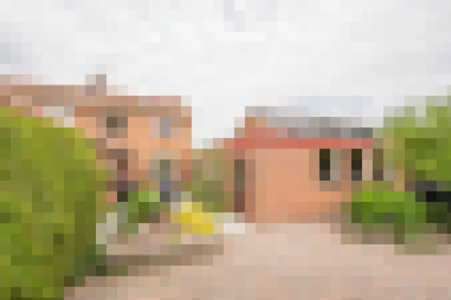 Kamphuisstraat 3 Voorthuizen thumbnail 29