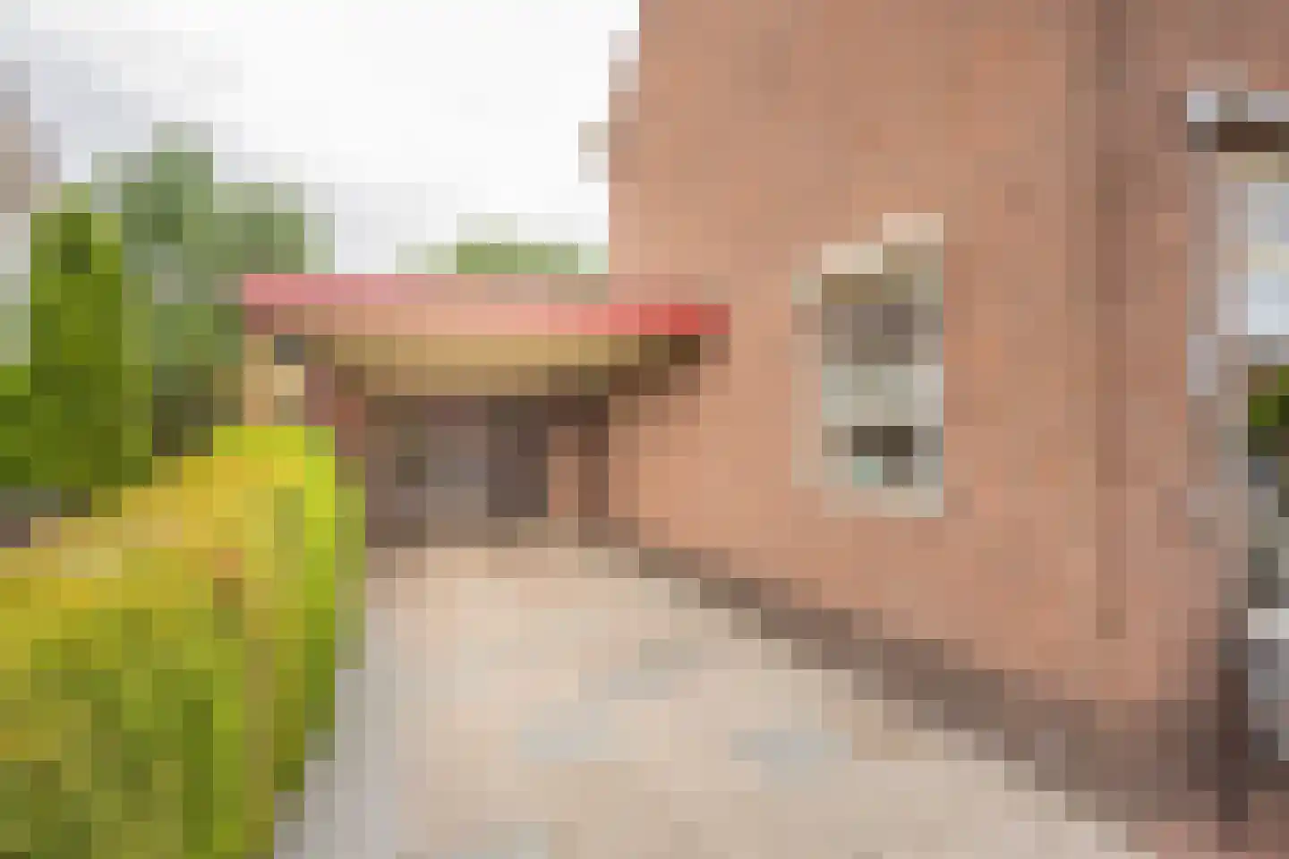 Kamphuisstraat 3 Voorthuizen thumbnail 31