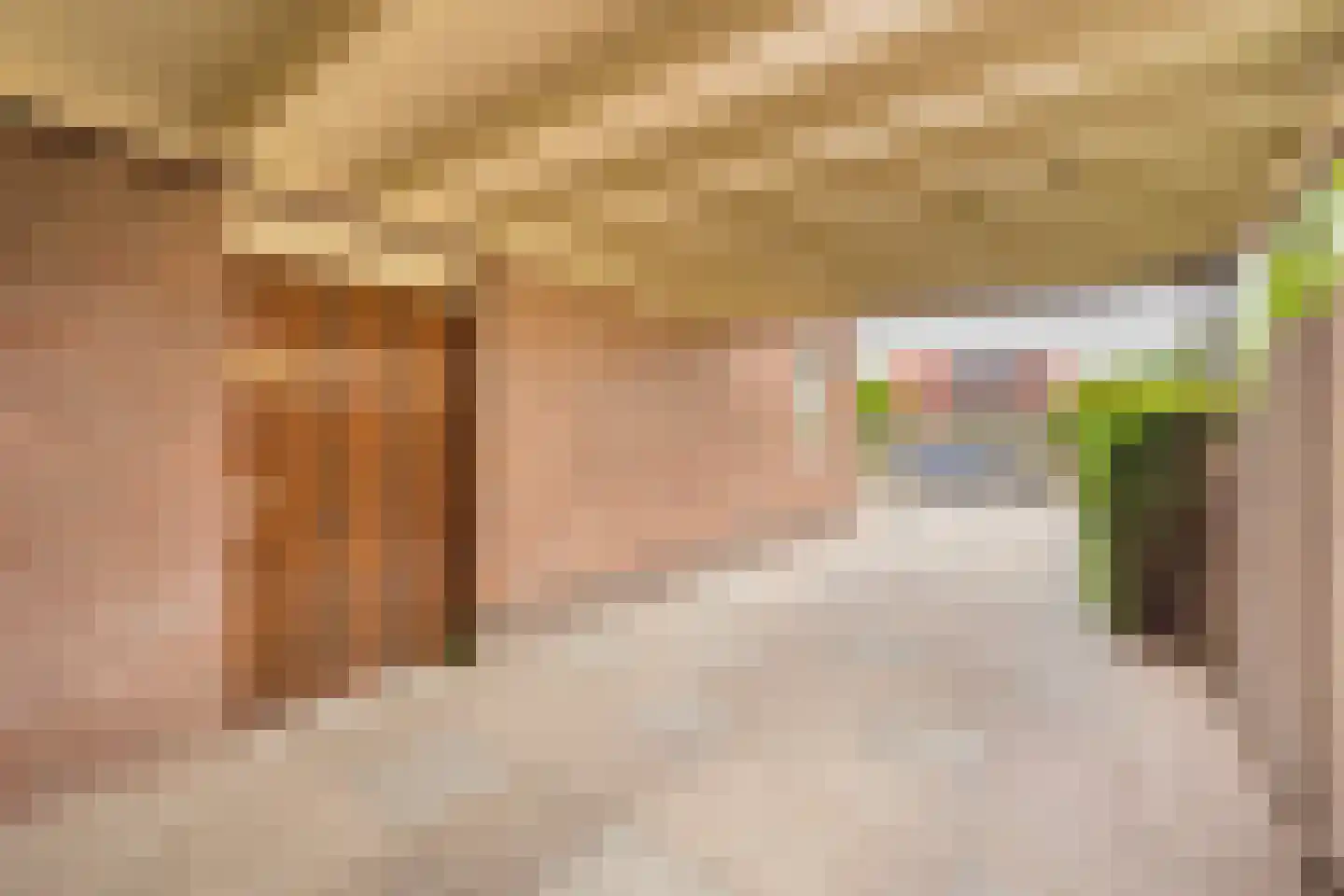 Kamphuisstraat 3 Voorthuizen thumbnail 33