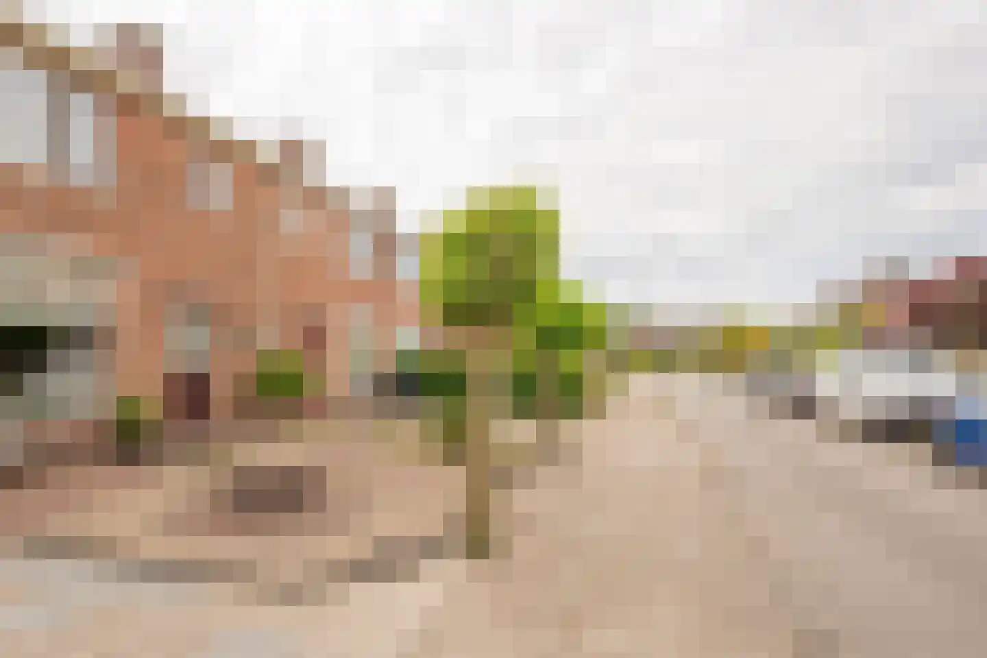 Kamphuisstraat 3 Voorthuizen thumbnail 35